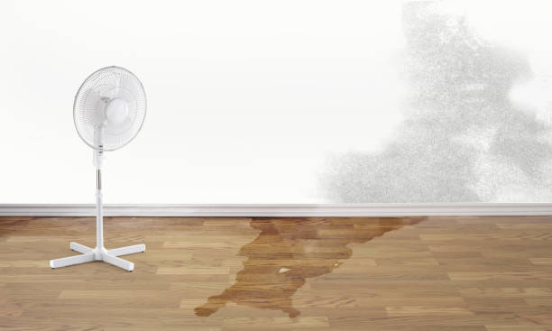 Best Carpet water damage restoration  in Mount Cob, PA