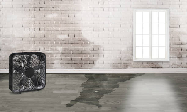 Sewage cleanup and water damage restoration in Mount Cob, PA