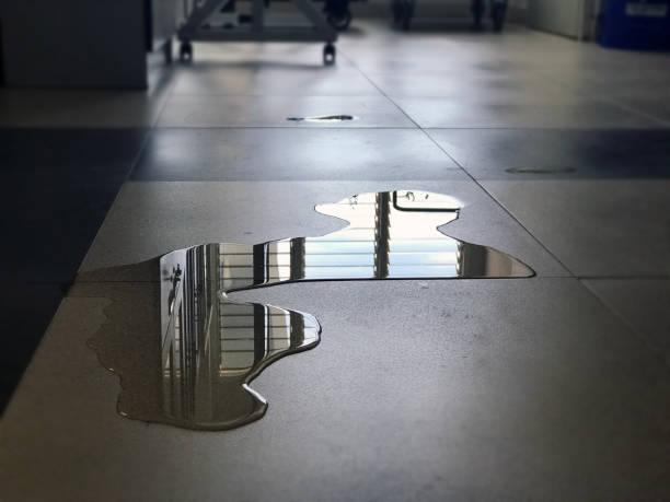Best Commercial water damage restoration  in Mount Cob, PA