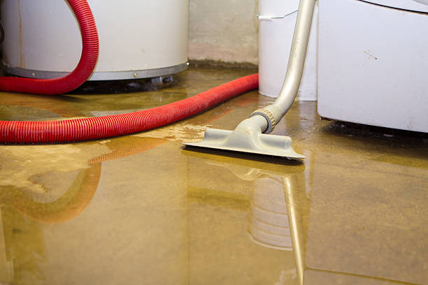 Best Ceiling water damage repair  in Mount Cob, PA