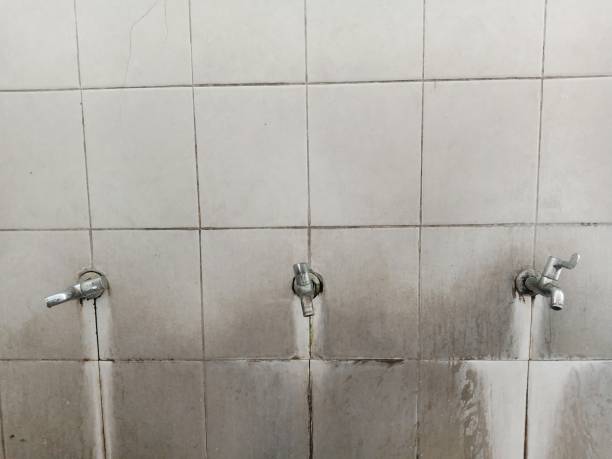Best Professional water damage repair  in Mount Cob, PA