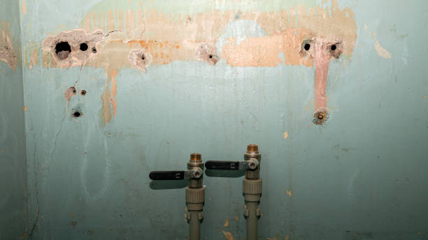 Carpet water damage restoration in Mount Cob, PA