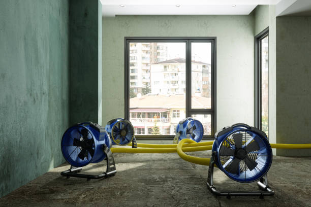 Best Mold removal after water damage  in Mount Cob, PA